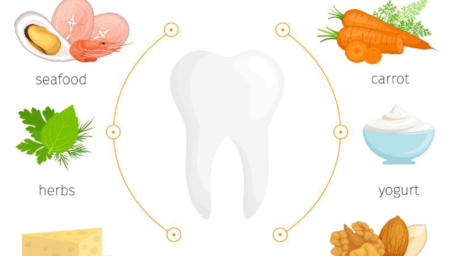 ویتامین‌های ضروری برای سلامت دندان و دهان 7 نوع است.